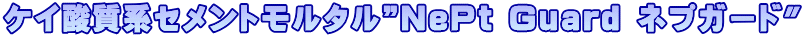 �P�C�_���n�Z�����g�����^���hNePt Guard �l�v�K�[�h"